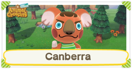 ACNH - Canberra Birthday and Personality