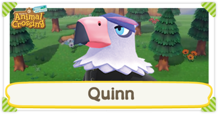 ACNH - Quinn Birthday and Personality
