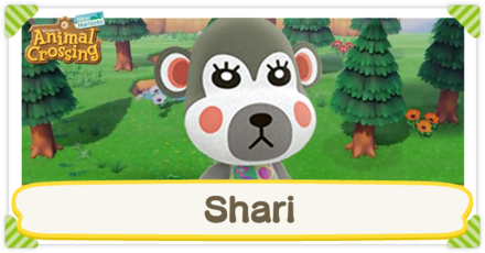 ACNH - Shari Birthday and Personality