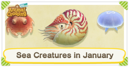 ACNH - Monthly Sea Creatures