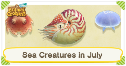 ACNH - July Sea Creatures