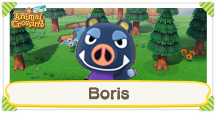 ACNH - Boris Birthday and Personality