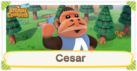 ACNH - Cesar Birthday and Personality