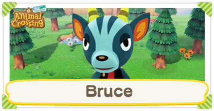 ACNH - Bruce Birthday and Personality