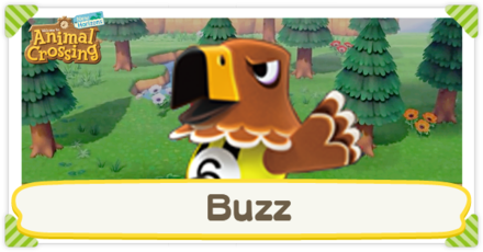 ACNH - Buzz Birthday and Personality