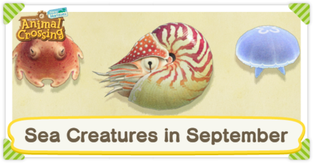 ACNH - September Sea Creatures