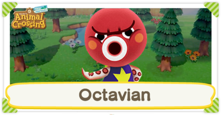 ACNH - Octavian Birthday and Personality