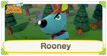 ACNH - Rooney Birthday and Personality
