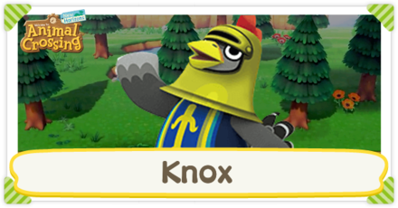 ACNH - Knox Birthday and Personality