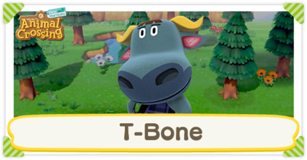 ACNH - T-Bone Birthday and Personality