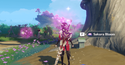 Genshin - Where to Find Sakura Blooms