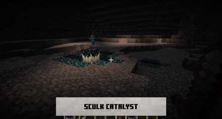 Sculk Catalyst