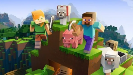 Online and Local Multiplayer