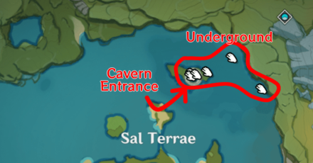 Genshin - Violetgrass Location - Sal Terrae