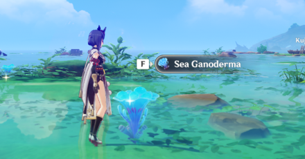 Genshin - Sea Ganoderma on Shores and Coastlines