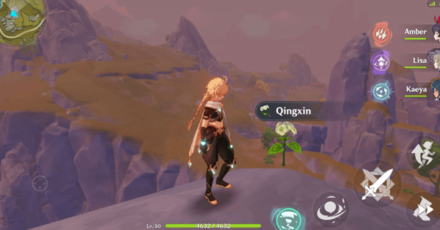 Genshin - Qingxin Flower found on Cliffs and Mountaintops