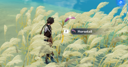 Genshin - Horsetail Recommended Area to Find
