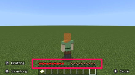 Minecraft Survival Mode