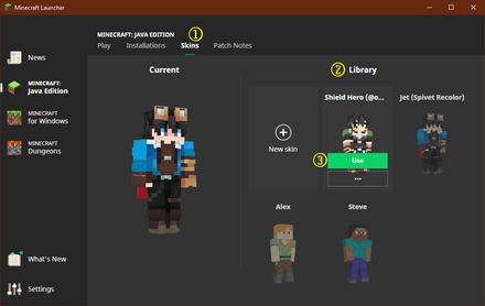 MC - Using Skins Java.png