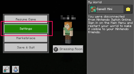 Minecraft Settings