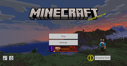 MC - Using Skins Bedrock.png