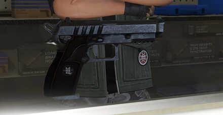 GTA V - Pistol Skin - Rounds x24