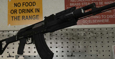 GTA V - Assault Rifle Skin - Flashlight