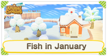 Animal Crossing New Horizons (ACNH) - Fish in January