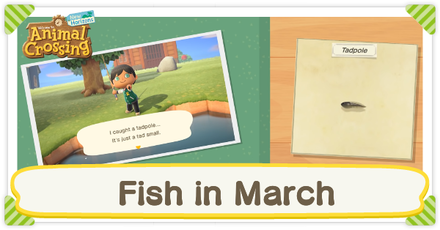Animal Crossing New Horizons (ACNH) - Fish in March
