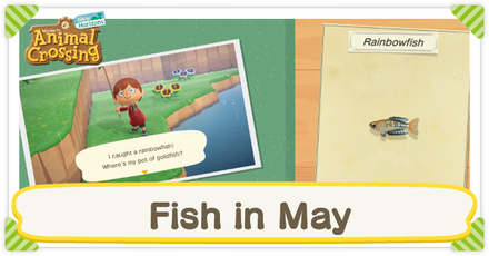 Animal Crossing New Horizons (ACNH) - Fish in May
