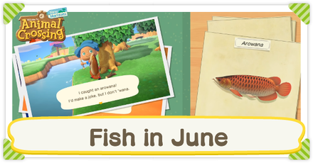 Animal Crossing New Horizons (ACNH) - Fish in June