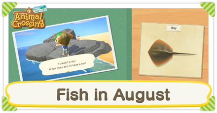 Animal Crossing New Horizons (ACNH) - Fish in August