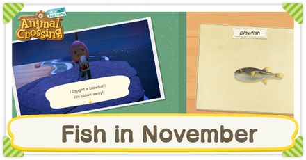 Animal Crossing New Horizons (ACNH) - Fish in November
