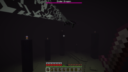 Minecraft Beat Ender Dragon