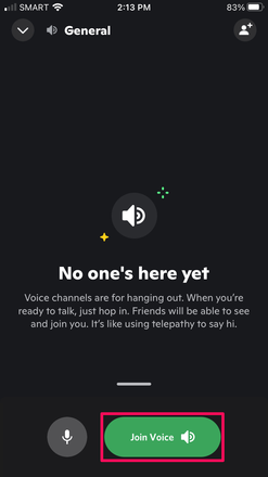 Setting Up Discord - Joining the Call