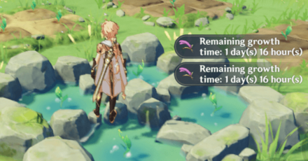 Genshin - How to Plant in an Orderly Meadow