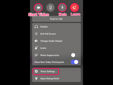 Discord Voice Call Settings and Controls