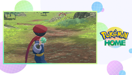 Pokemon Legends Arceus - Pokemon HOME Support Maintenance.png