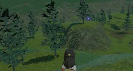 Pokemon Legends Arceus Collect Wisps at Night.jpeg