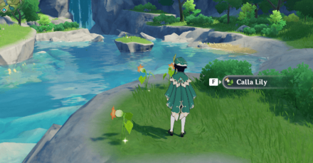 Genshin - Calla Lilies by a Lake in Springvale