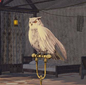 Fire Emblem Warriors: Three Hopes - Owl Feathers