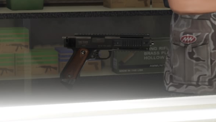 GTA V - AP Pistol