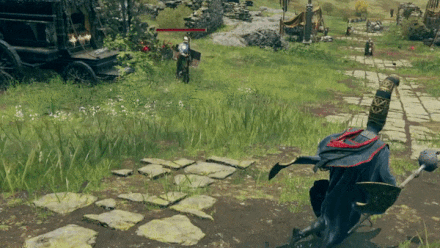 Elden Ring - Briars of Punishment.gif