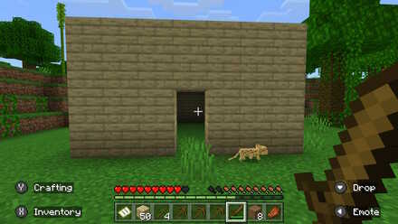 Minecraft - starter base