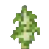 Birch Sapling Icon