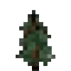 Sapling Icon