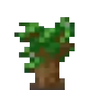 Dark Oak Sapling Icon