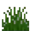 Grass Icon
