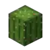 Cactus Icon