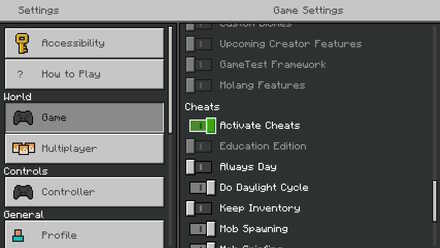 Minecraft - turn Cheats on